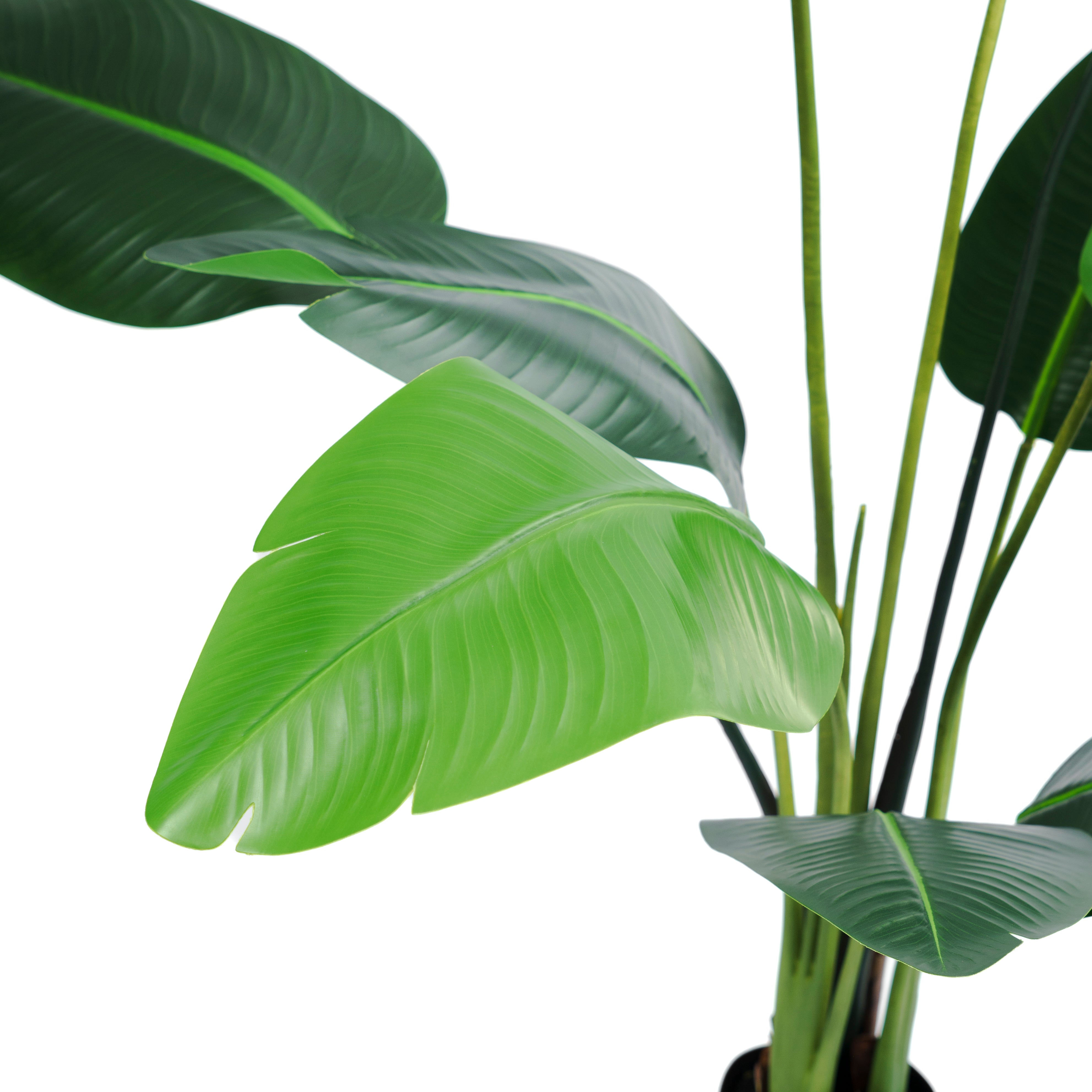 Planta Artificial Ave del Paraíso 160 cm – Strelitzia Realista de Estilo Tropical - 4