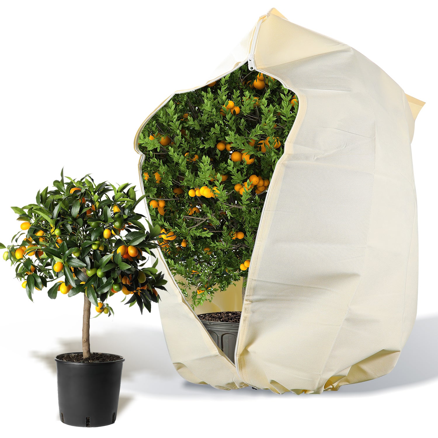 Gaethra Voile Hivernage Plante Exterieur, 250 X 360cm Housses De Protection Pour Plantes Avec Zippe, Voile D Hivernage Pour Plantes Exterieur Réutilisable Pour Palmiers, Olivier, Beige