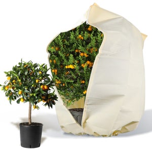 Voile D'Hivernage Pour Plantes Extérieur 250x360 Cm - Avec Fermeture Zippée Et Cordon - Protection Contre Gel, Vent, Pluie - Réutilisable
