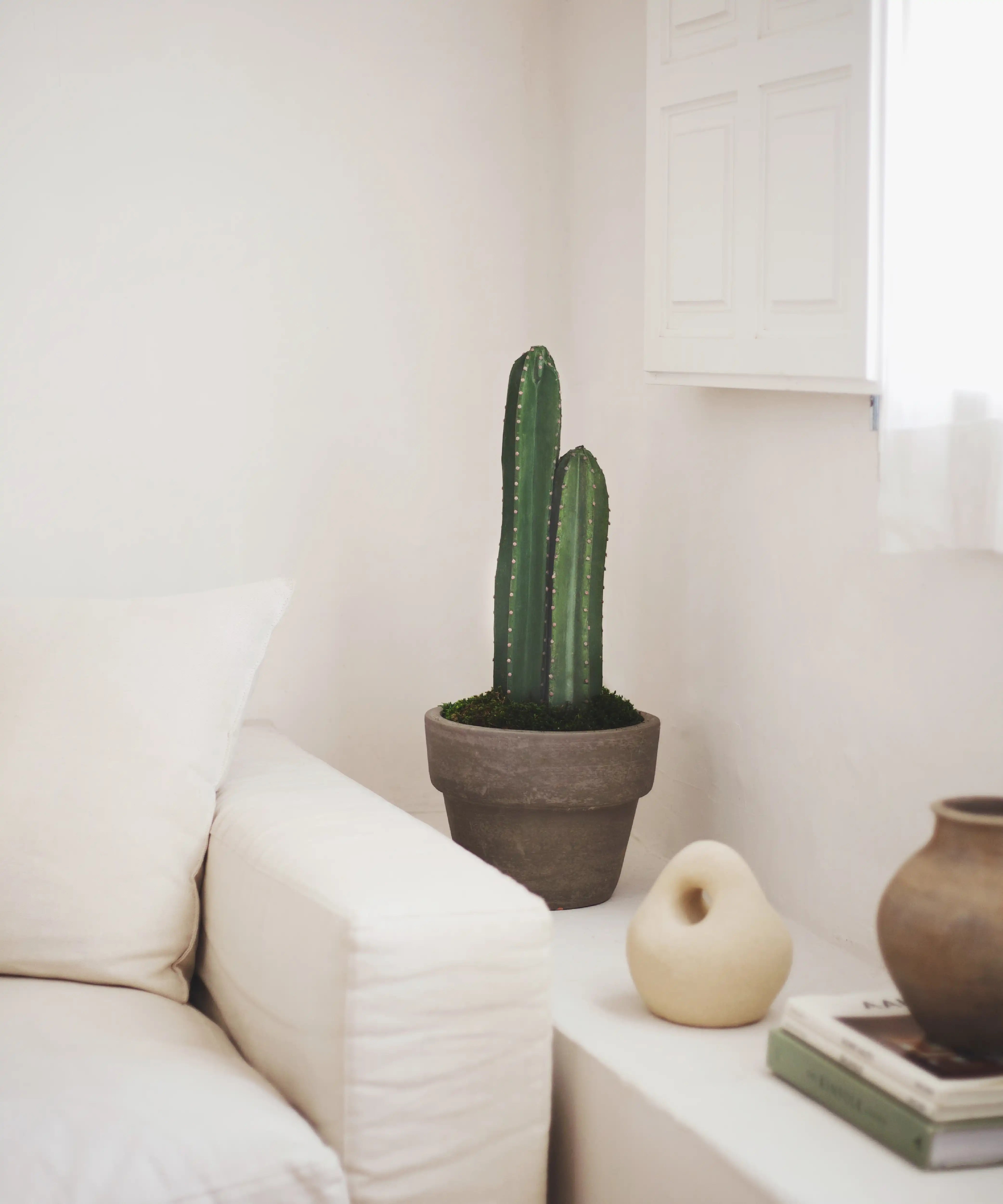 Maia Shop  Planta Artificial Grande, Cactus Artificial , Leroy Merlin