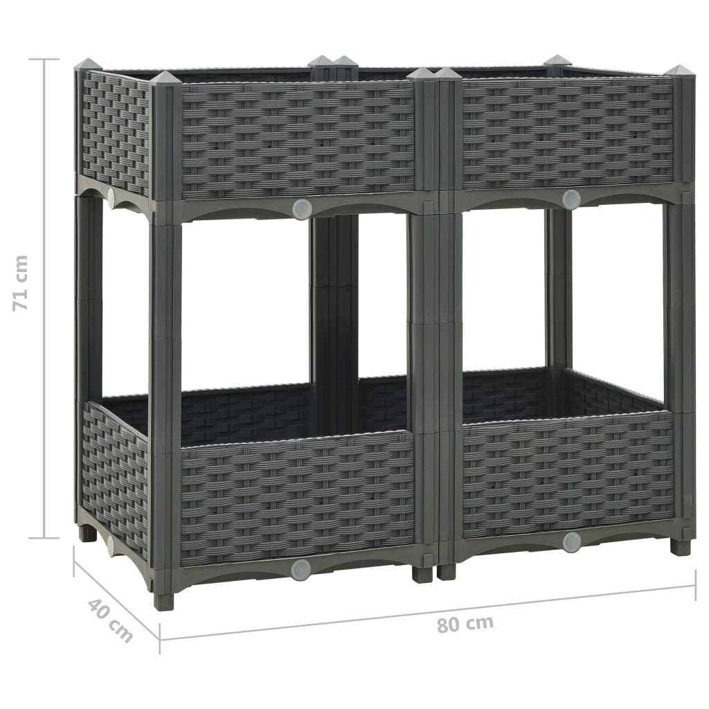 Fioriera aiuola rialzata piante fiori giardino80 x 40 x 71 cm polipropilene grigio scuro 02_0000948 - 5