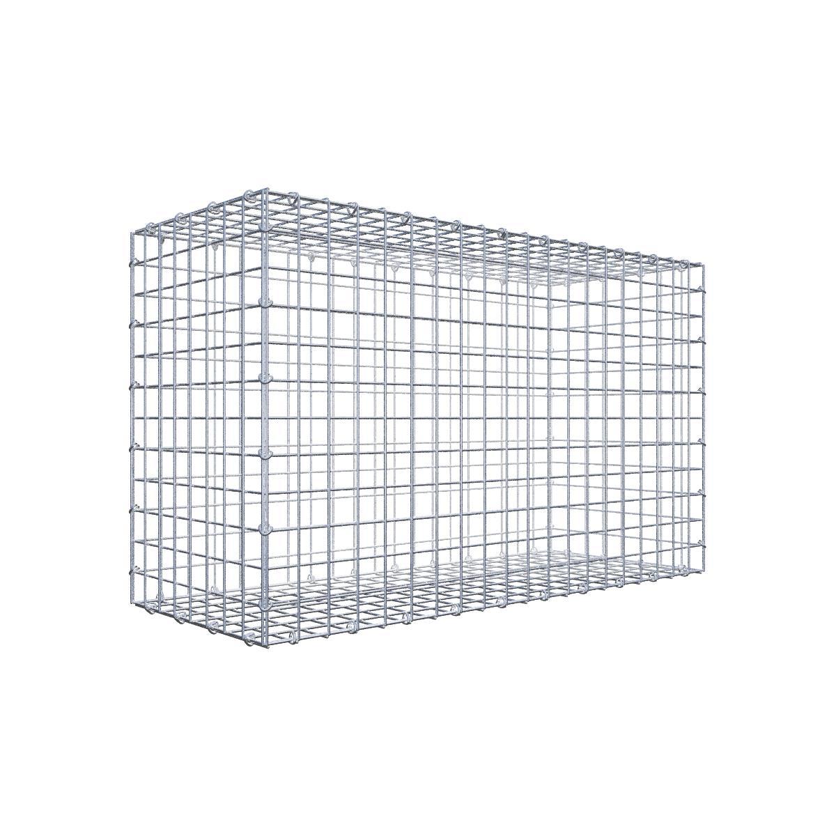 Gabion 100 cm x 60 cm x 40 cm (dł. x wys. x gł.), rozmiar oczka 5 cm x 5 cm, pierścień typu C