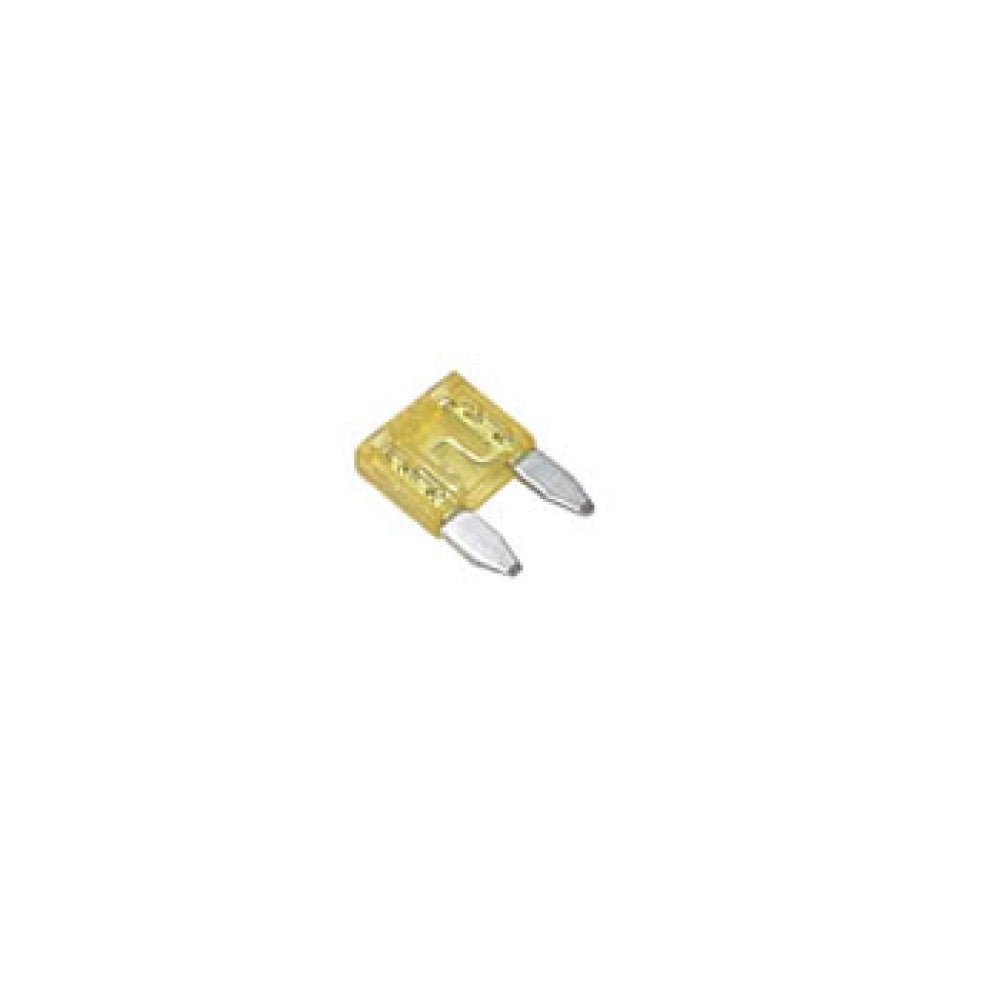 Alimentation Auto 12V-24V 20A Avec Prise Et Tube Fusible - Pour Applications Courant Fort