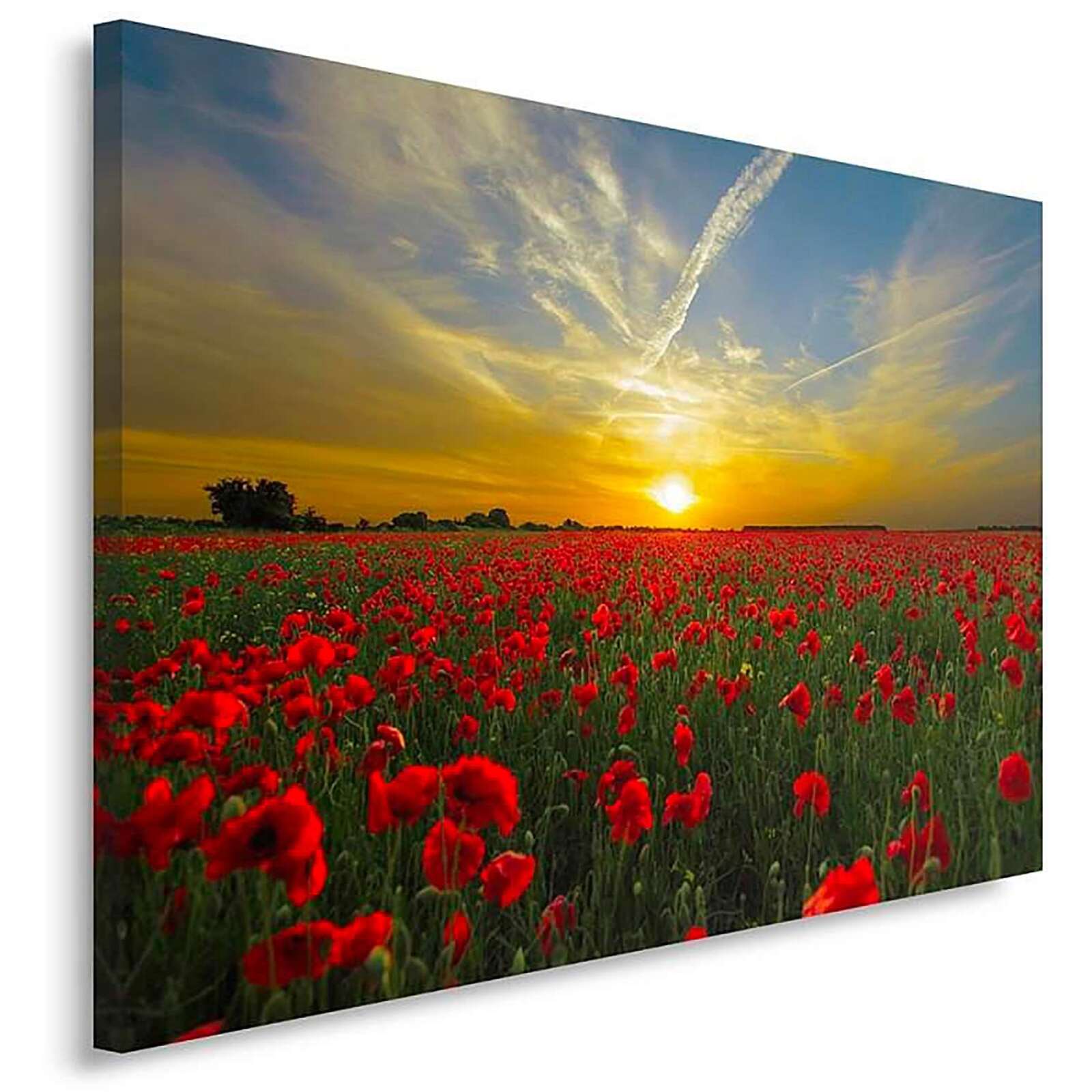 Tableau coquelicots au coucher du soleil - 80 x 60 cm - 2