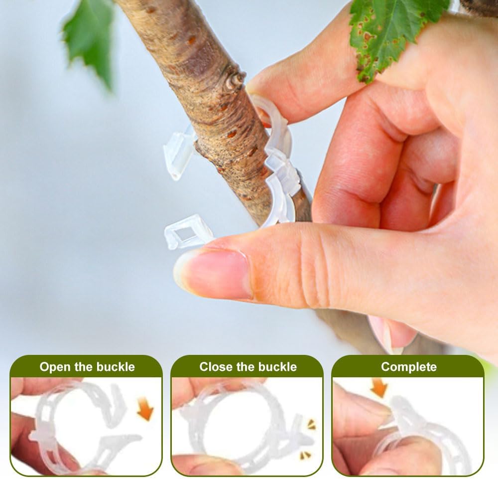Plant Support Clips de Jardin Tomate Clips Support, Jardin Clips pour Les légumes Tomate Vigne tiges (100, Transparent)Vert - 4