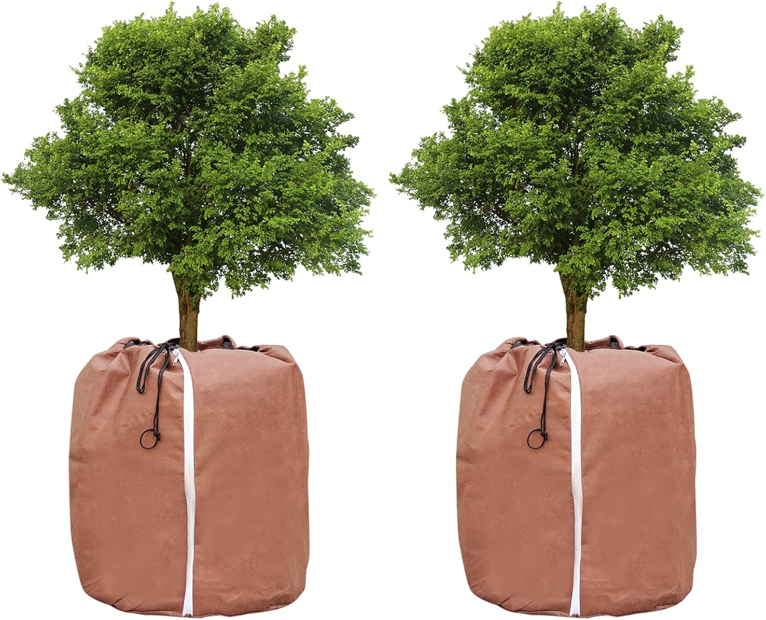 Voile Hivernage Plante Exterieur 240 x 200 cm, 80 g/m² Tissu Non Tissé, Protection Plantes Hiver Voile Hivernage Plante Exterieur 240 x 200 cm, 80 g/m² Tissu Non Tissé, Protection Plantes Hiver