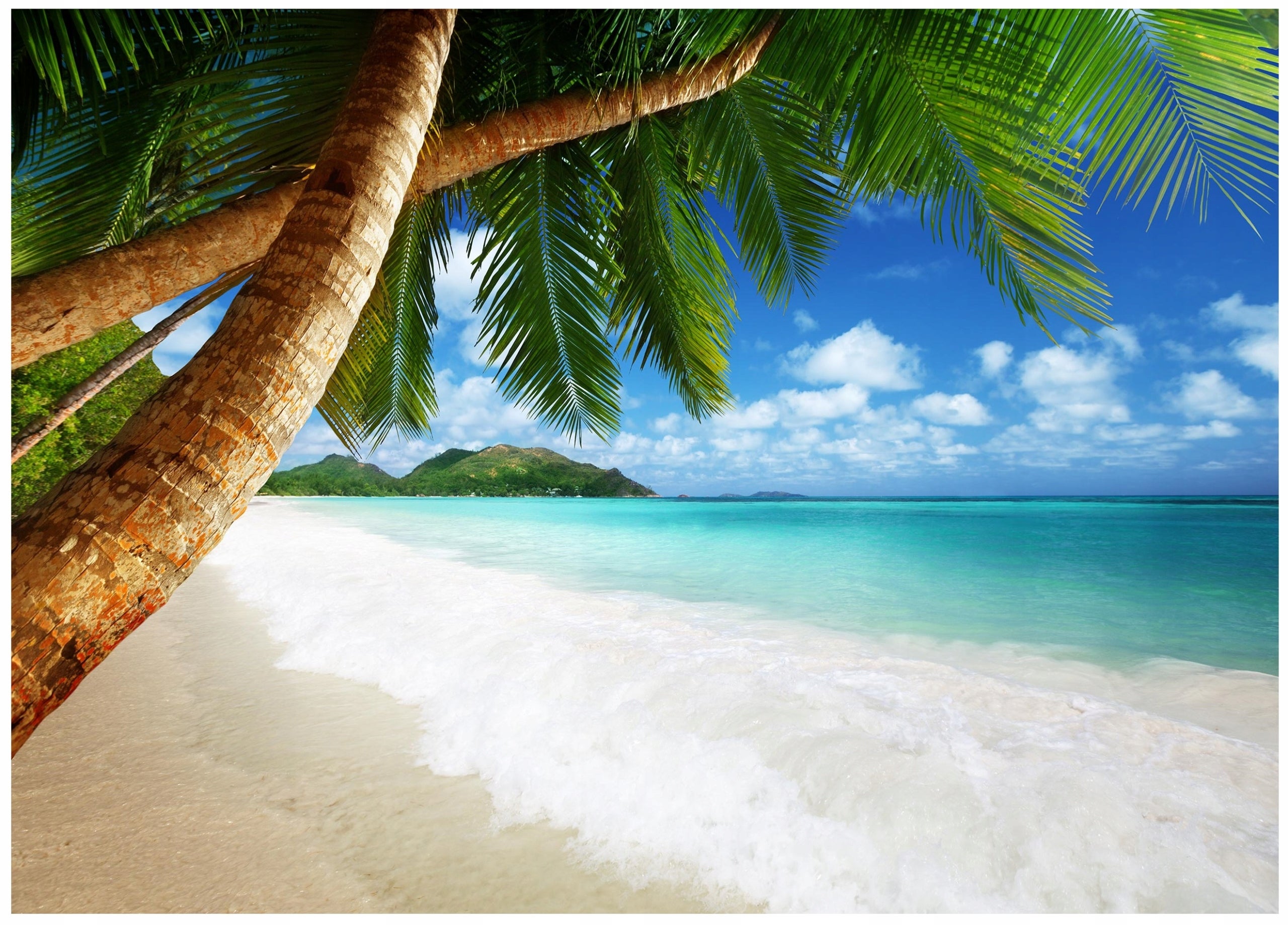 Fototapeta Plaża Palmy Piasek Ocean Natura 400x280 cm Tapeta Do Sypialni Salonu Kuchni Na Flizelinie