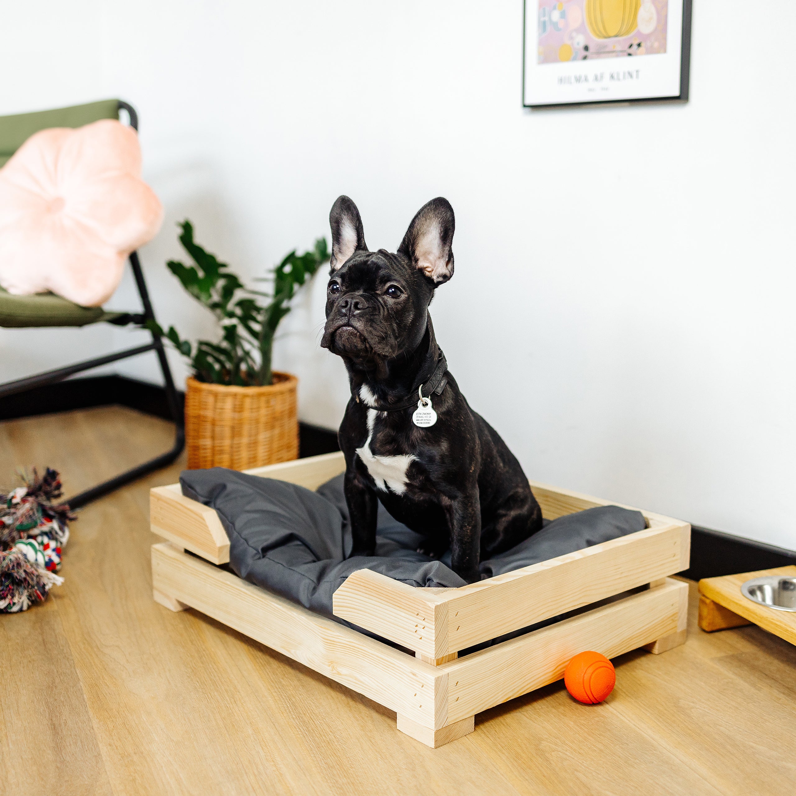 Letto 2 In 1 Per Gatti E Cani - Cuscino Morbido Convertibile In Cestino, Grigio - Foto 3
