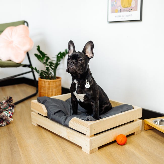 Letto 2 In 1 Per Gatti E Cani - Cuscino Morbido Convertibile In Cestino, Grigio - Foto 3