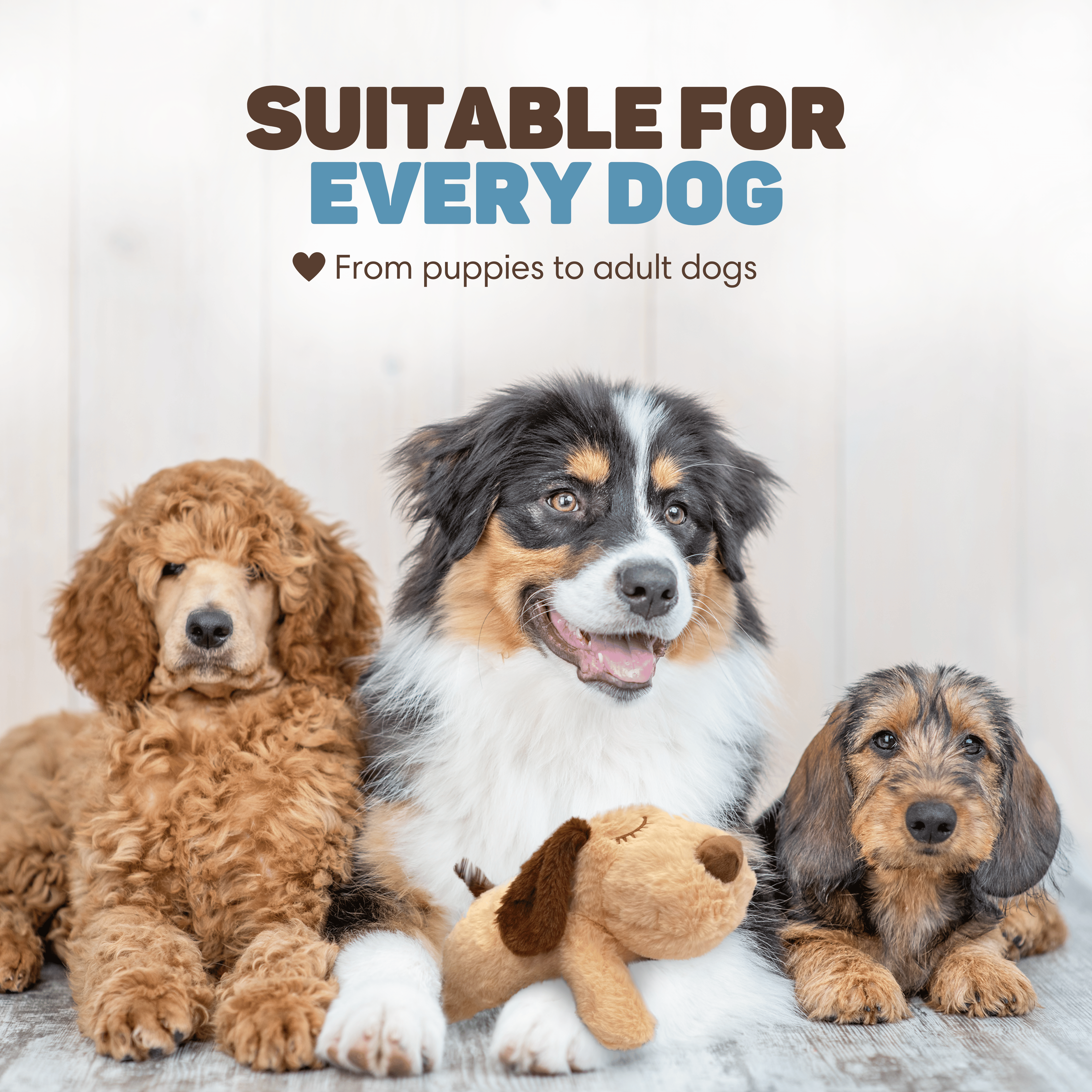 Peluche Perro con Latido del Corazón Vulpes Goods – Peluche para Cachorros - incl. Almohadilla Térmica - 8