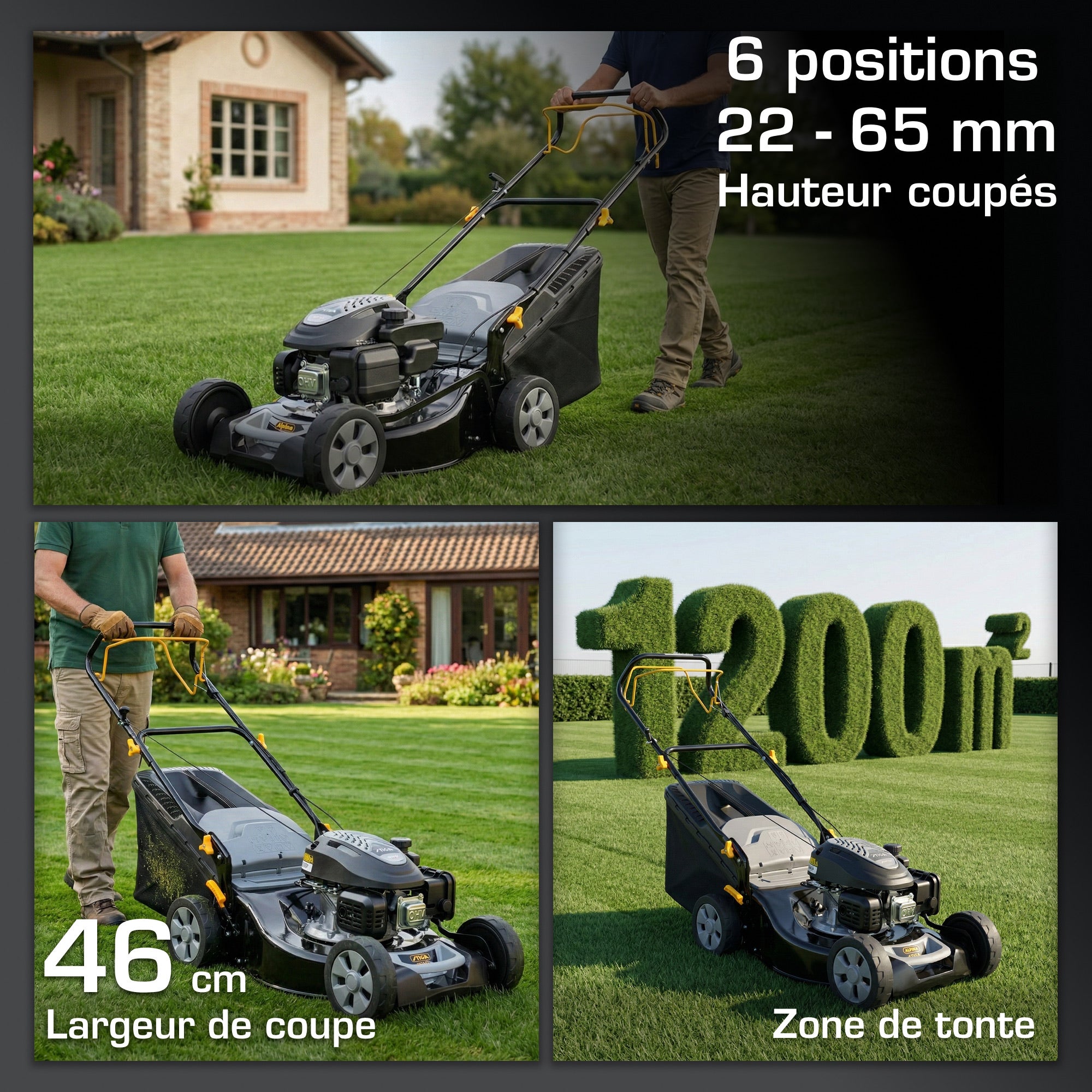 AL5 46 SA ALPINA Tondeuse tractée 139cc 46cm bac 60L - 4