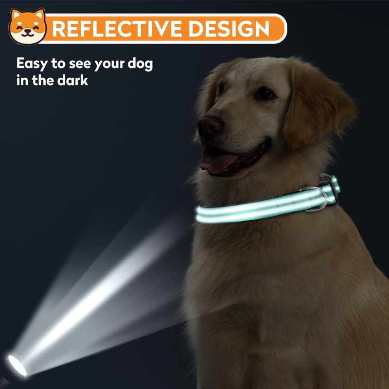 2 peças refletivo coleira para cão, ajustável macio acolchoamento de neoprene coleiras de nylon para animais com fivela para filhote e cães - 6