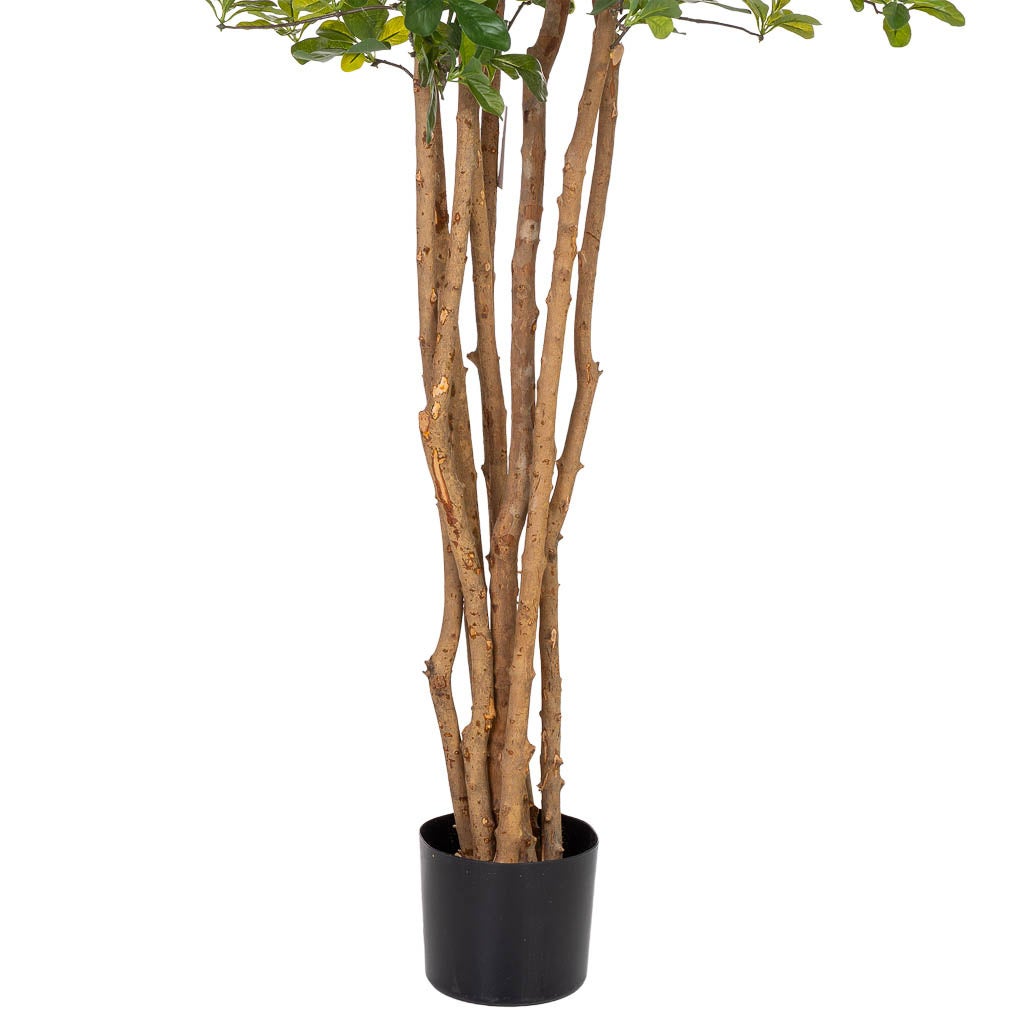 Feuille de banian artificielle décorative en pot de 40x30x180 cm - 5