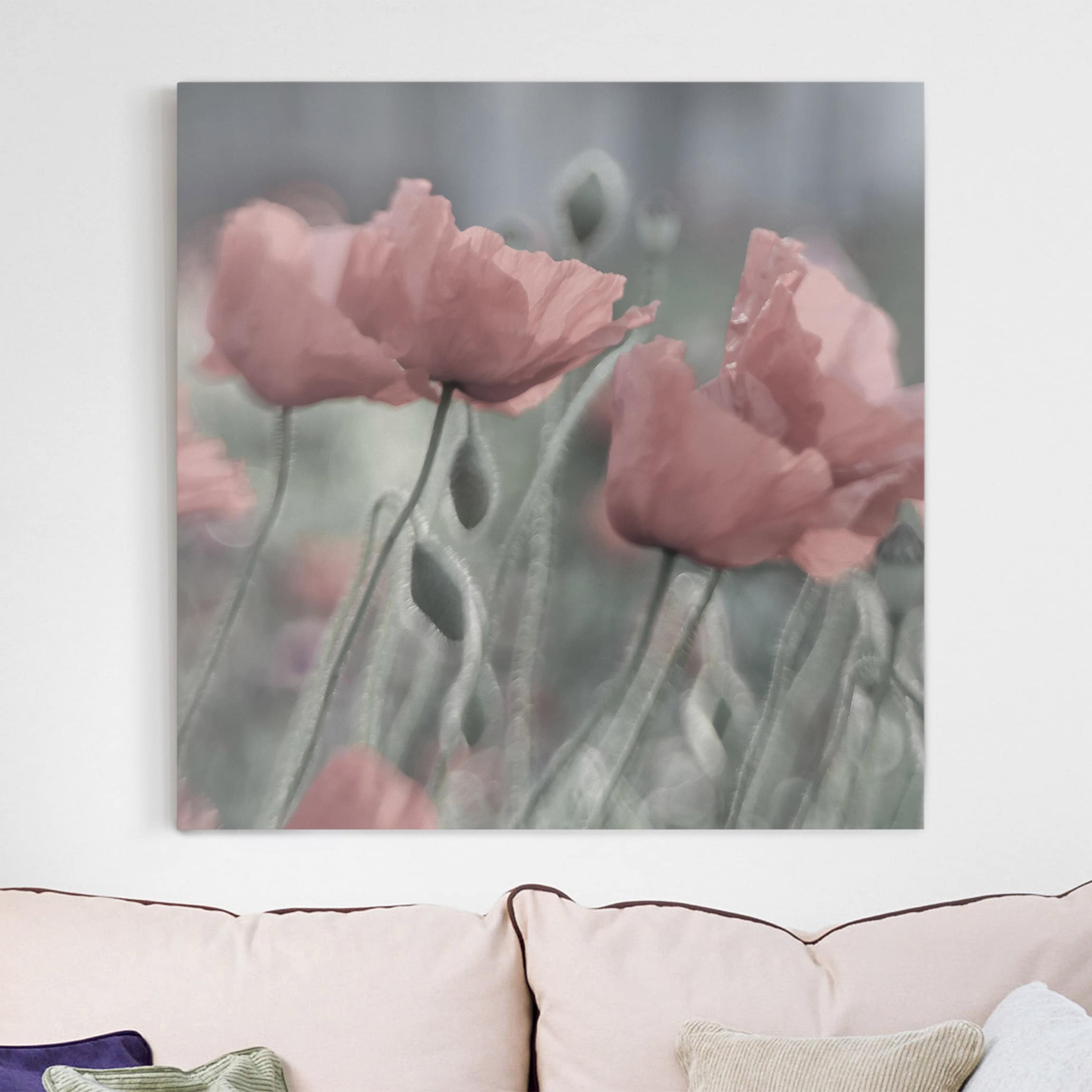 Lienzo cuadro en lienzo bastidor impresion en lienzo rosa botánica flor amapola fotografía 219 cocina dormitorio salón pasillo 60 x 60 cm