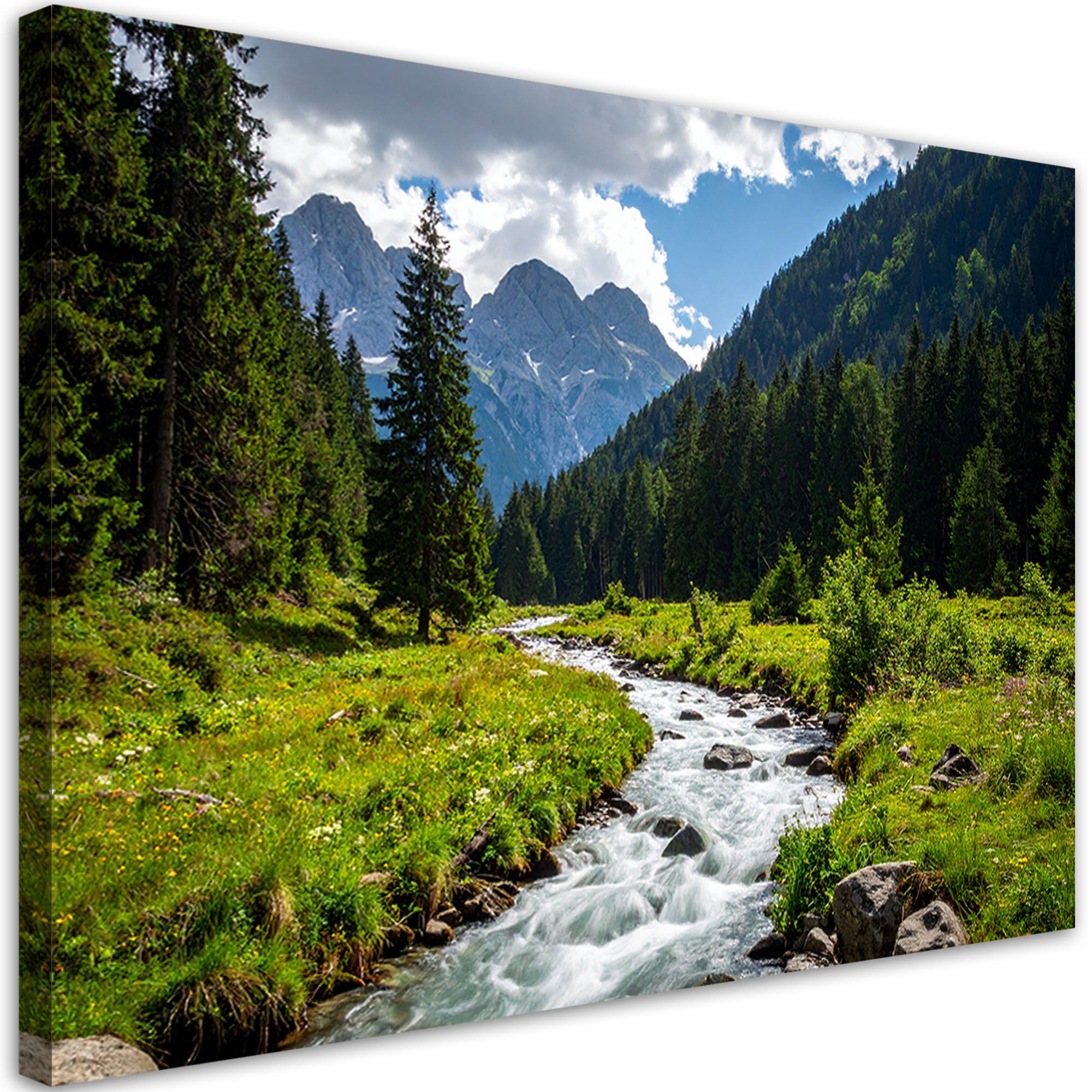 Obraz do salonu sypialni biura, Krajobraz górski potok natura 120x80