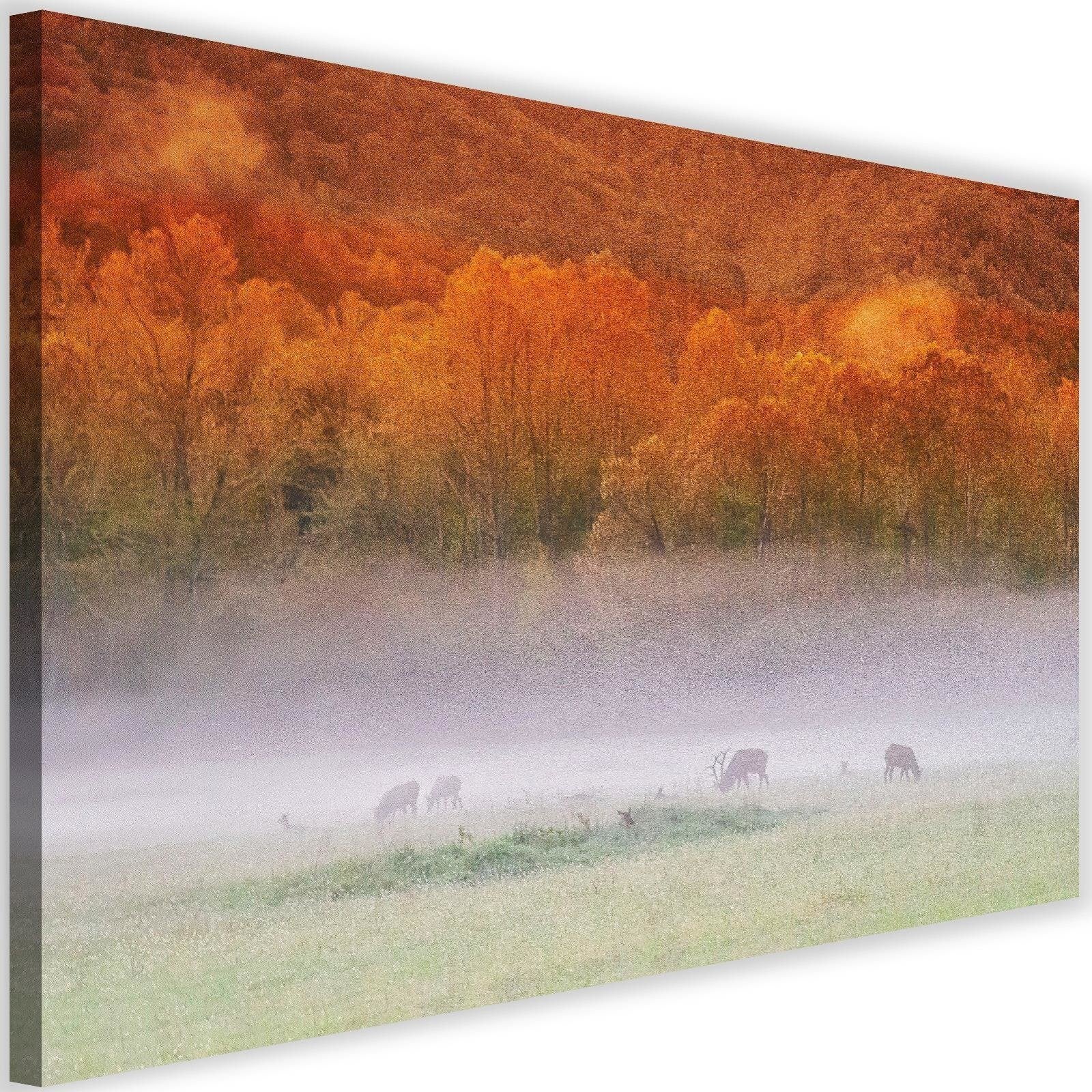 Obraz na płótnie, Mgła nad rykowiskiem 90x60