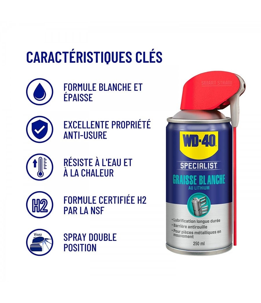 Bomboletta di grasso al litio WD40 250ml - 5