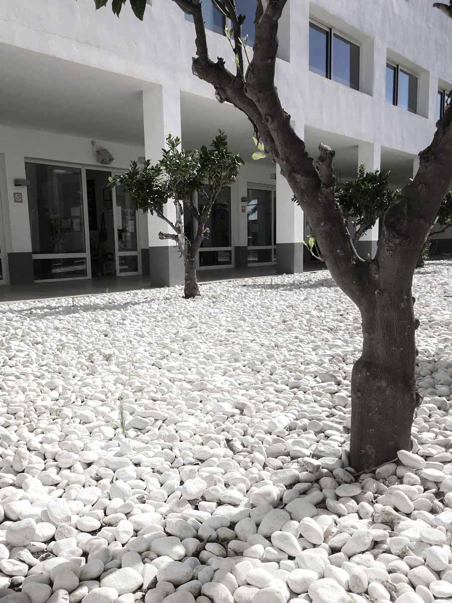 Canto Rodado Blanco Intenso 25 - 40mm Bolsa de 20KG 20kg bag - 4