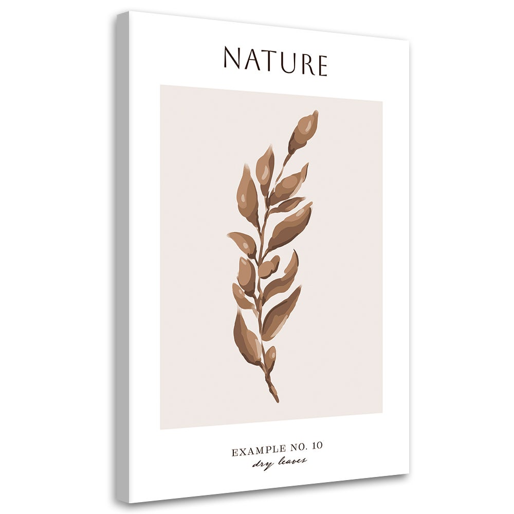Obraz na płótnie, Suche liście - Natura 80x120
