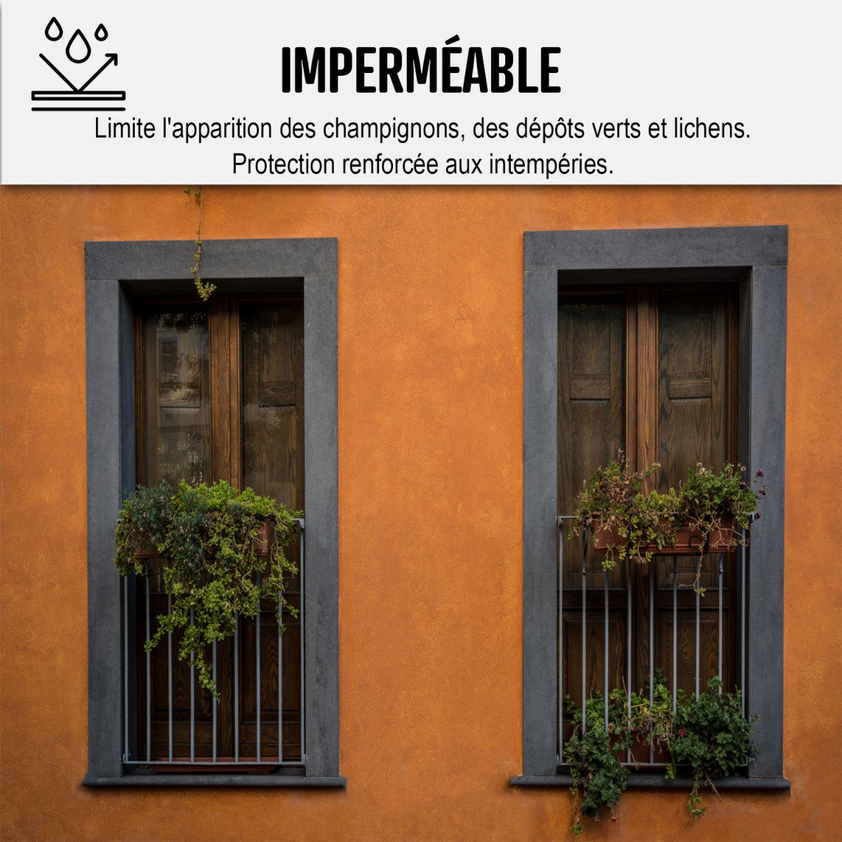 Peinture Façade - Peinture Hydrofuge Acrylique 14 couleurs - 10 L (+ ou - 60 m² en 1 couche) Ton Sable - RAL 085 90 20 - ARCANE INDUSTRIES - 9