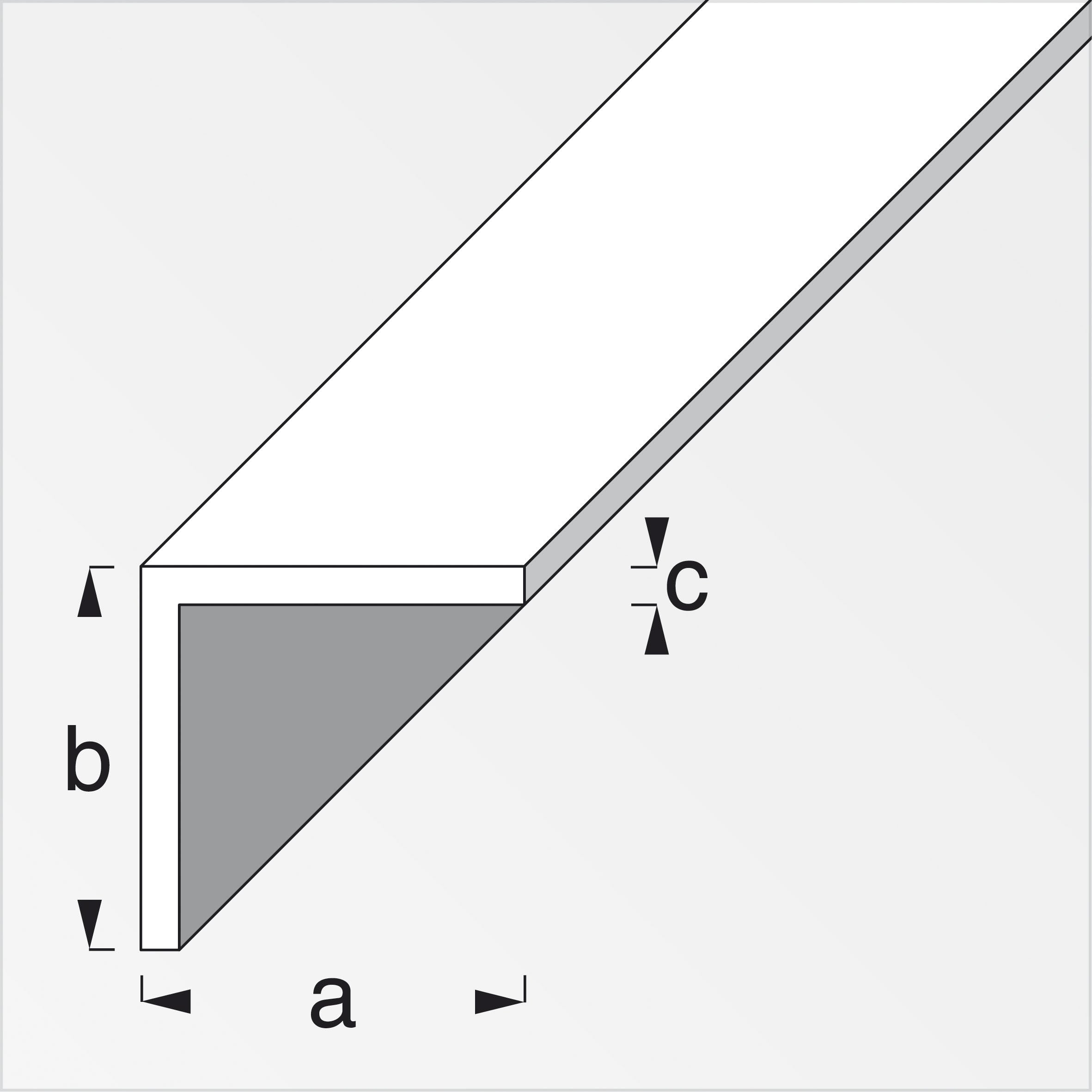 PROFIL D'ANGLE BLANC H.200 CM 10X10X1 MM | Leroy Merlin