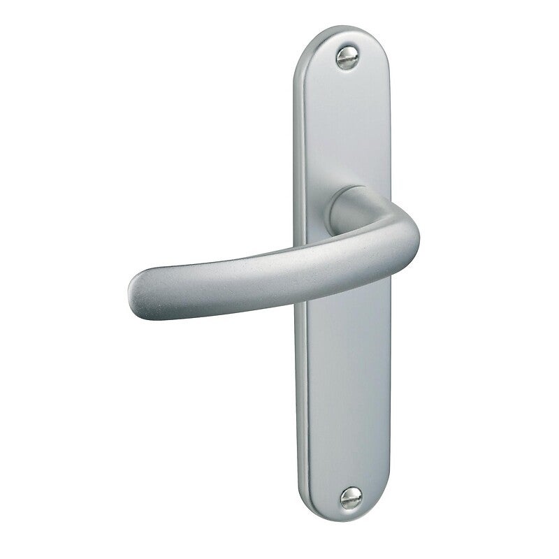 Poignée de porte intérieure - Budget - Vachette - Gris argent - Clé L - 165 mm - 4