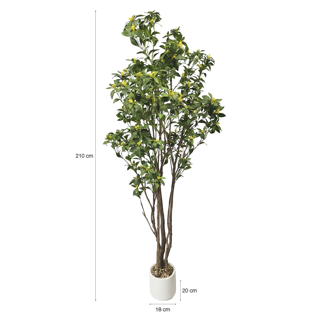 Planta artificial decorativa Osmanthus de 210 cm en maceta color verde - 5