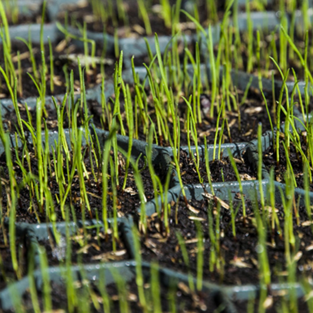 Dalle verte pour gazon et graviers – 49 × 49 × 4 cm – ENVIROTISS - 2