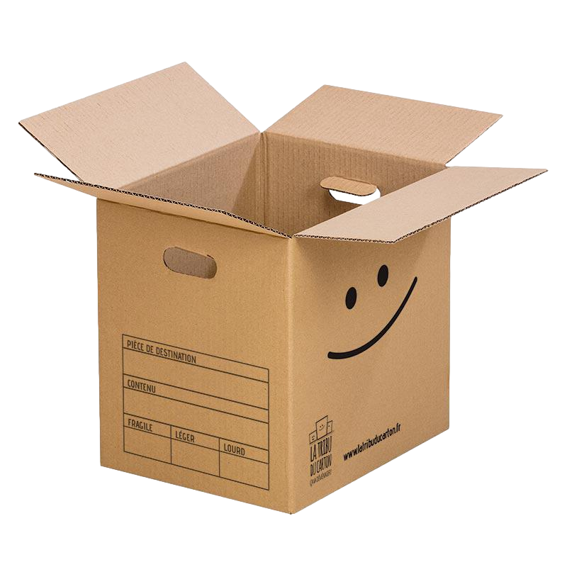 Pack 10 cartons à livres avec poignées - 4