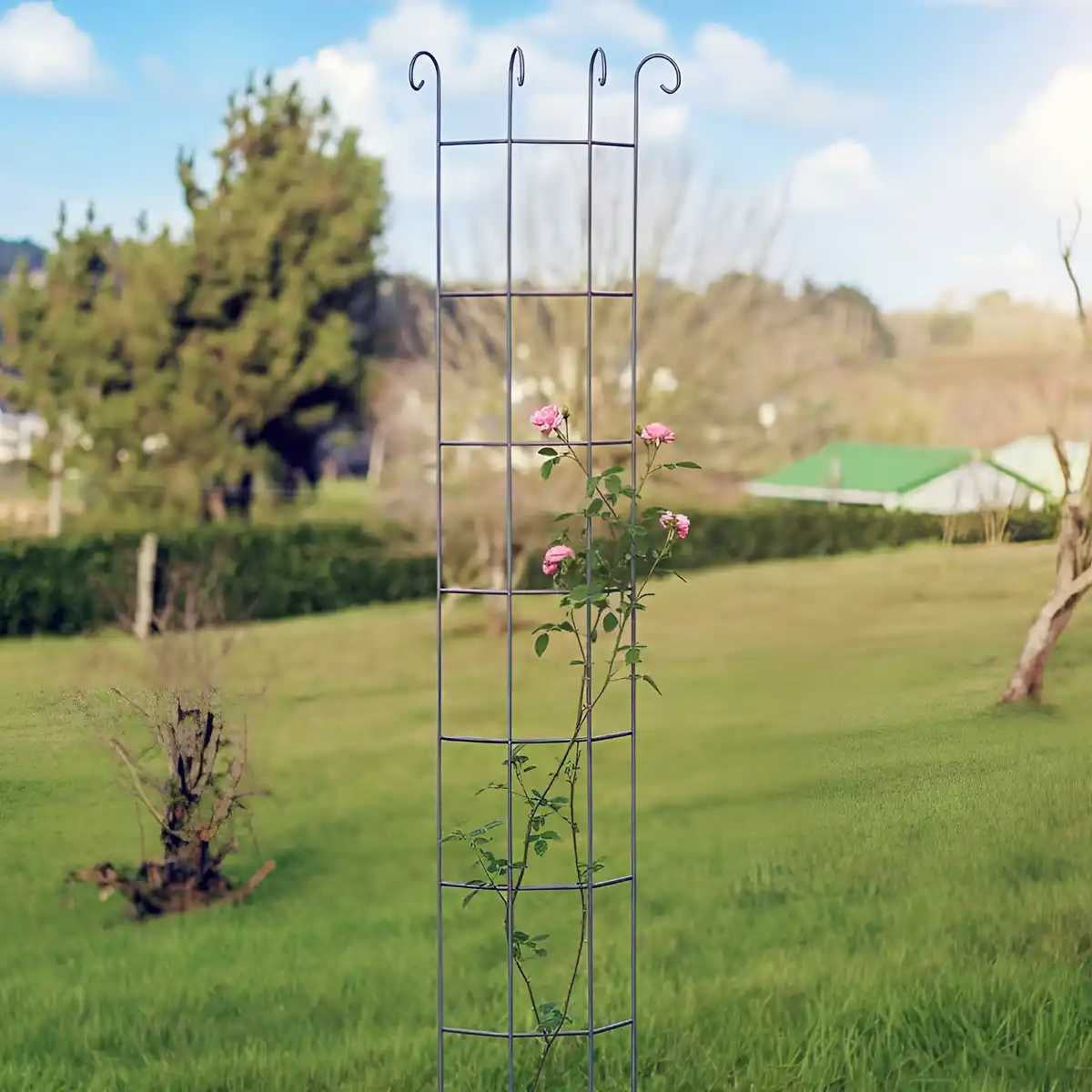 Tuteur colonne volute - Rosiers et plantes grimpantes - Marron - acier peint - L. 25 x l. 11 x H. 170 cm - 2