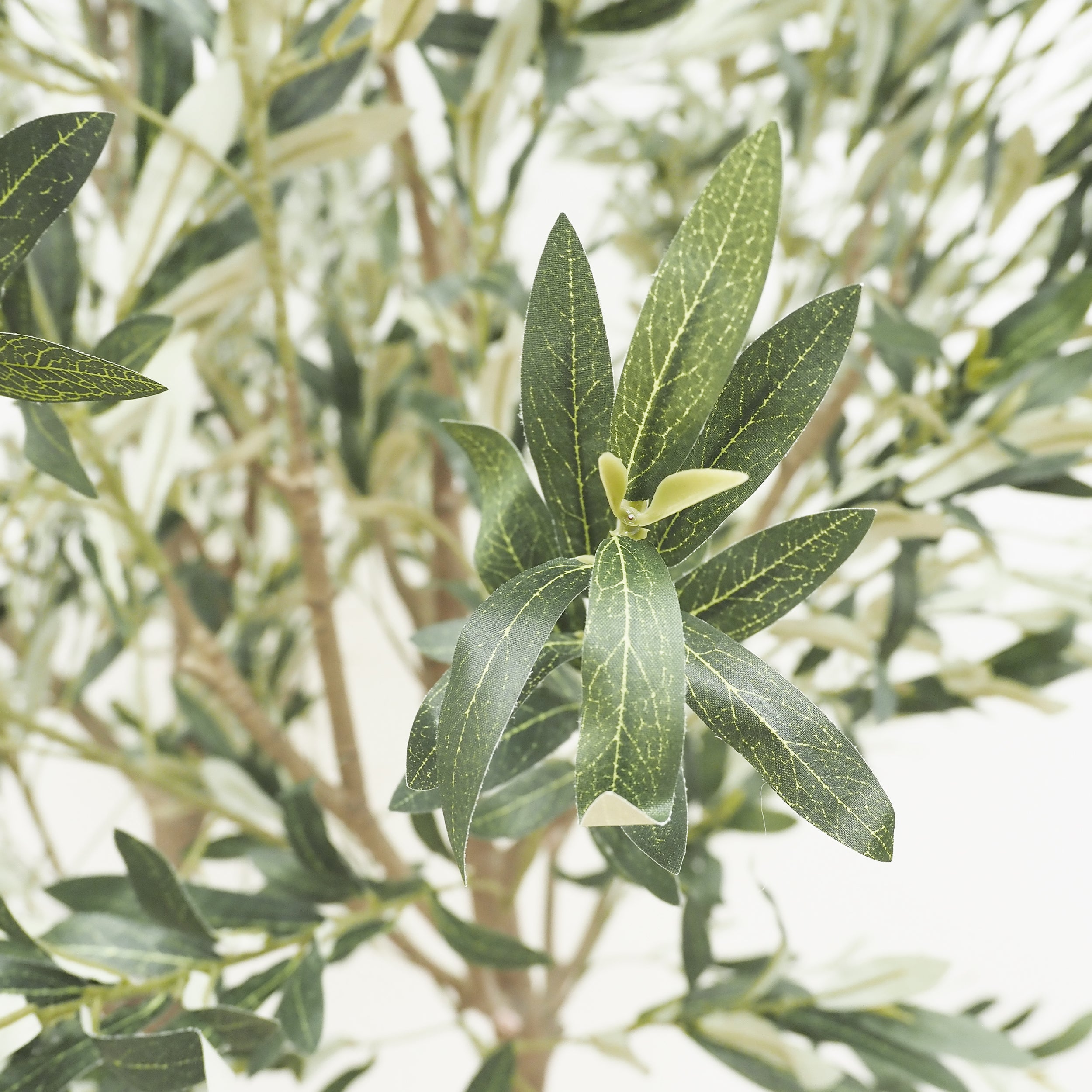Olivier artificiel pot blanc 240cm - 3