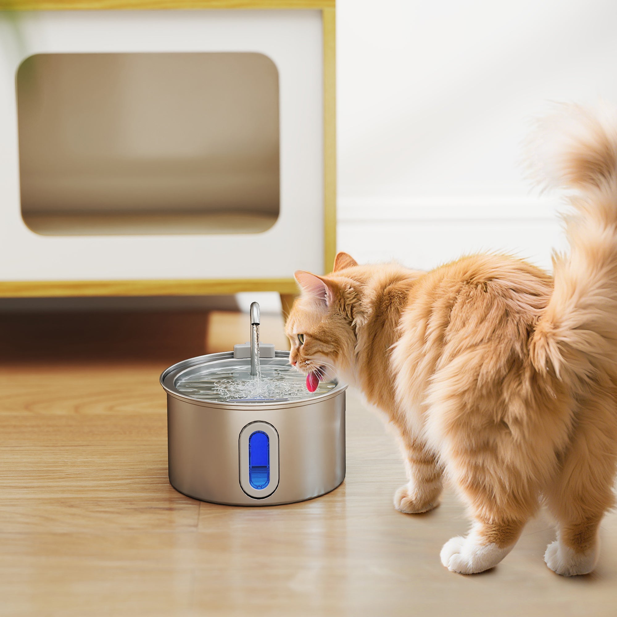 Fontaine à eau pour chat avec lumière LED, brosse et 2 jets d'eau, en acier inoxydable 304, 19,4 x 19,4 x 18,7 cm, argent - 4