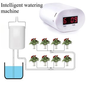 Botle Annaffiatoio In Plastica 2 Litri – Bianco – Ideale Per Casa, Balcone E Giardino