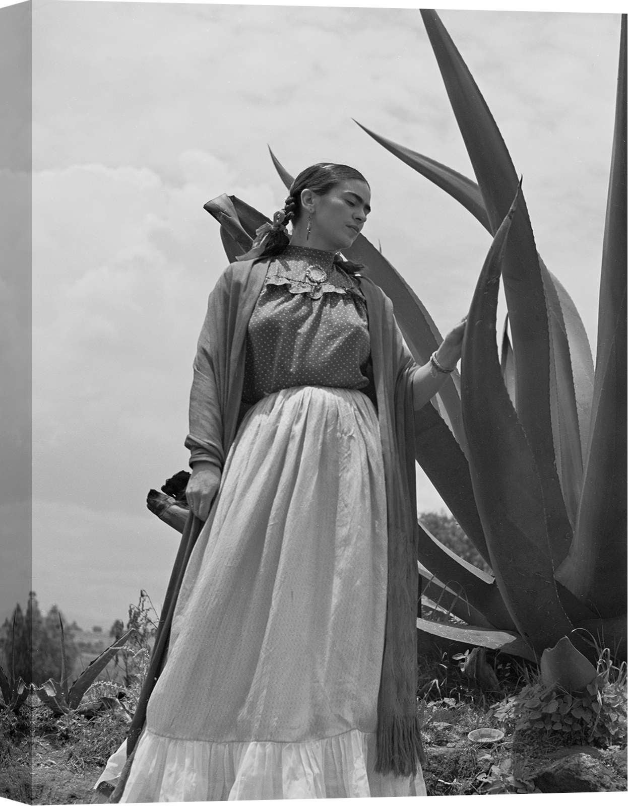 Fotografia iconica - stampa su tela - Toni Frissell - Frida Kahlo in piedi  accanto a una pianta di agave - 100x70 cm | Leroy Merlin