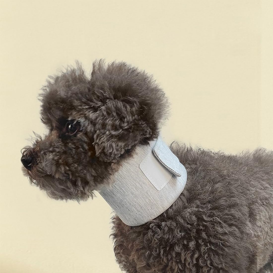 Collares para perros, collares para perros y gatos, collares protectores para el cuello, collares antiarañazos y antilamidos. - 5