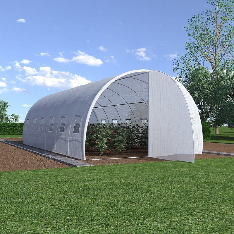 Szklarnia tunelowa ze stalową galwanizowaną konstrukcją i drzwiami 18 m² - Dł.600 x Szer.300 x Wys.200 cm - ALOCASIA