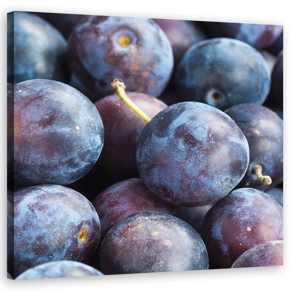Obraz, Śliwki owoce makro 50x50