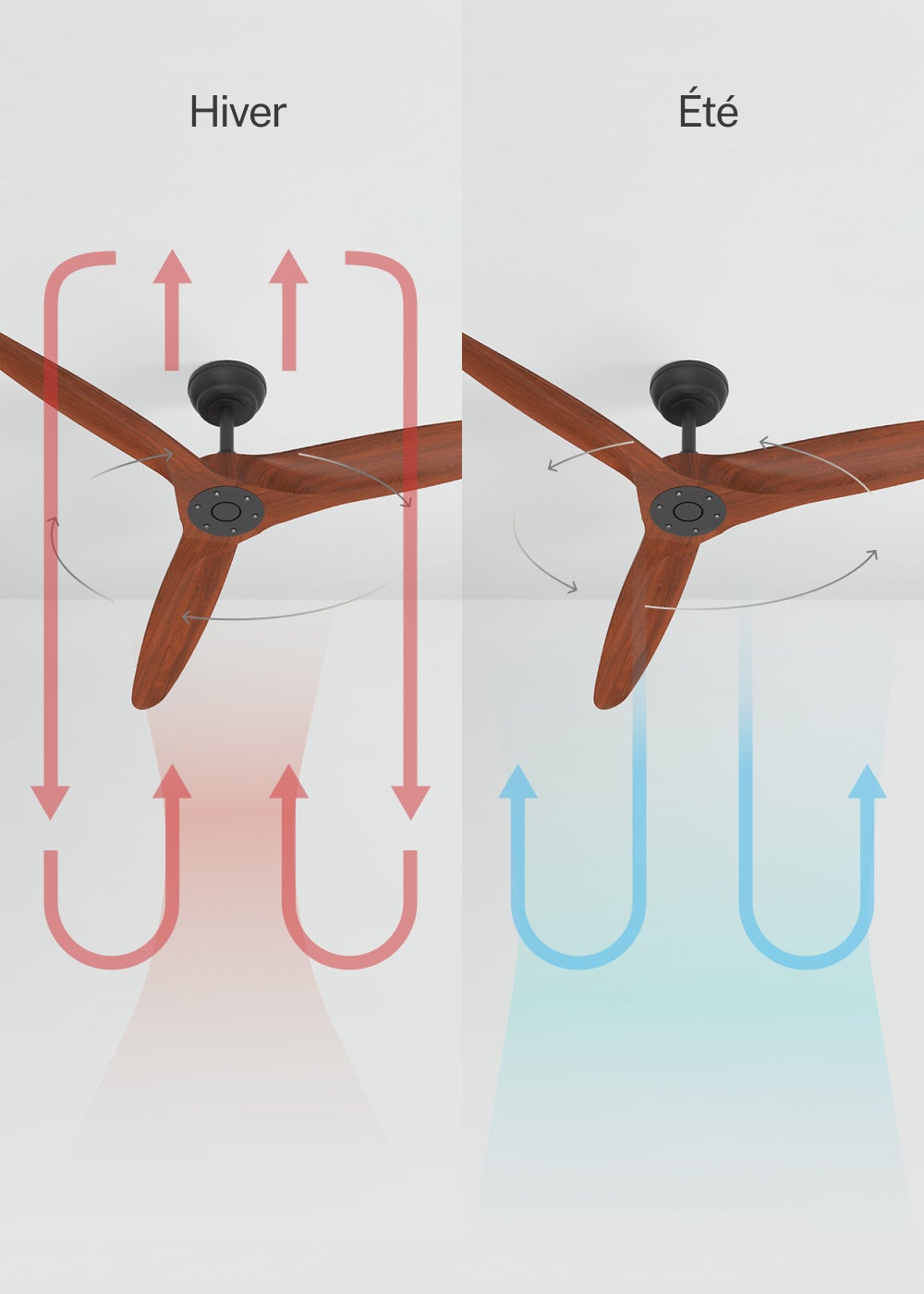 CREATE - WIND CENTURY L - Ventilateur de plafond 40W silencieux Ø152 cm 100% bois sans eclaraige sans wifi - 3