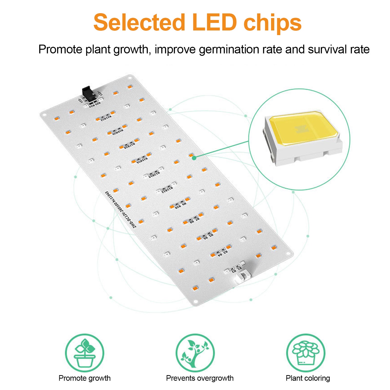 Iluminação LED planta luz de cultivo interior Quantum Board planta luz ...