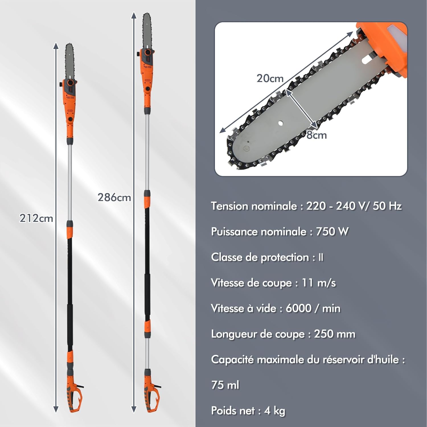 Élagueuse sur Perche Électrique 750 W, Coupe Branche avec Tête Réglable -30° à 30°, Manche Télescopique 212-286 cm Guide-Chaîne 20 cm, Vitesse 11 m/s - 3