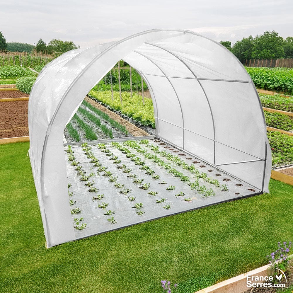 Serre 2 Fenêtres Latérales WOLTU Serre Jardin Tunnel 170x68x200cm Serre 2 Fenêtres Latérales WOLTU Serre Jardin Tunnel 170x68x200cm