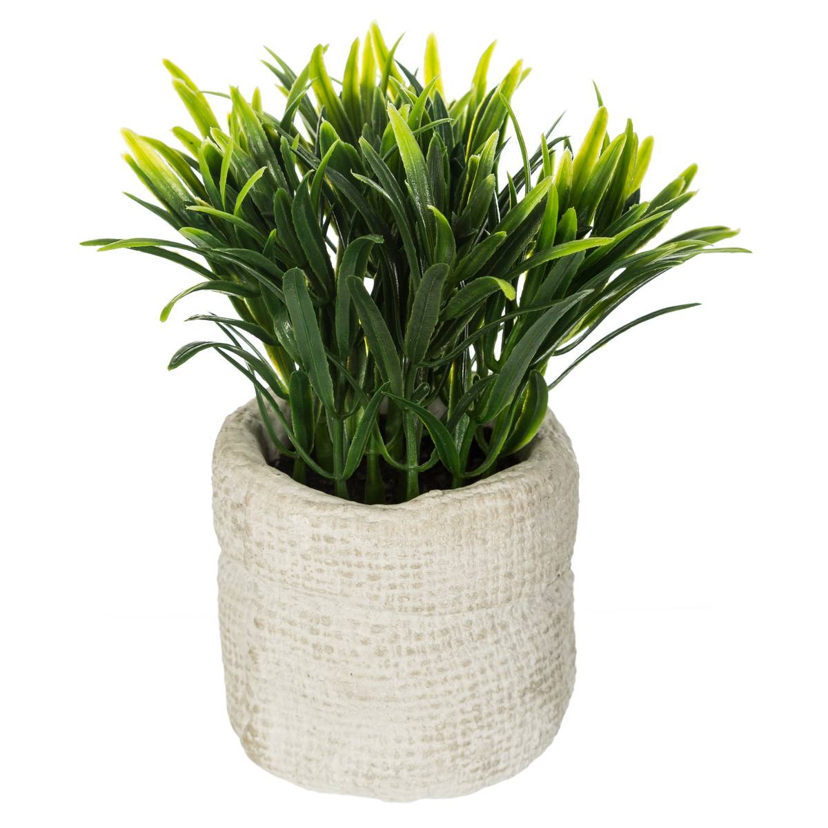 Plante Artificielle Pot Ciment H14cm Multicolore - Atmosphera Créateur d'intérieur - 2