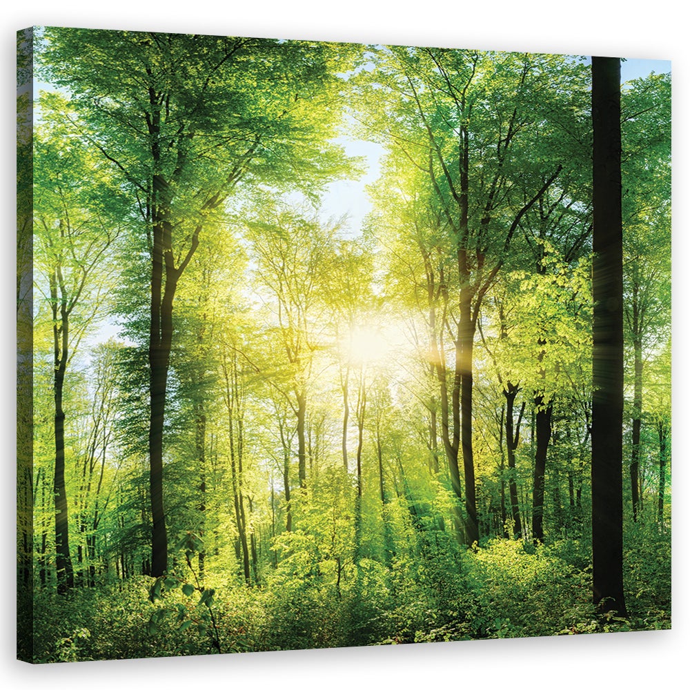 Obraz na płótnie, Promienie słońca Las Natura Spa Fioletowa 60x60
