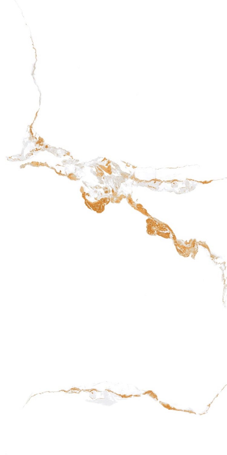 Carrelage sol/mur effet marbre blanc brillant GOLDEN CARRARA L.120 x l.60cm - 4