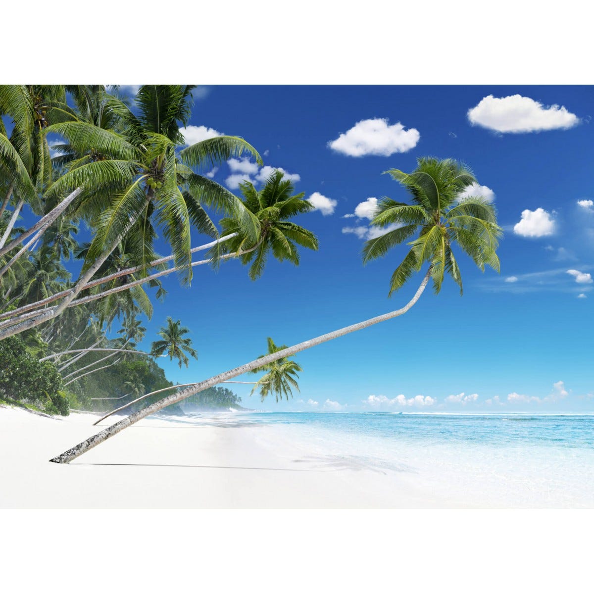 Impression sur toile Image tableaux 125x50 Paysage Impression sur toile Image tableaux 125x50 Paysage