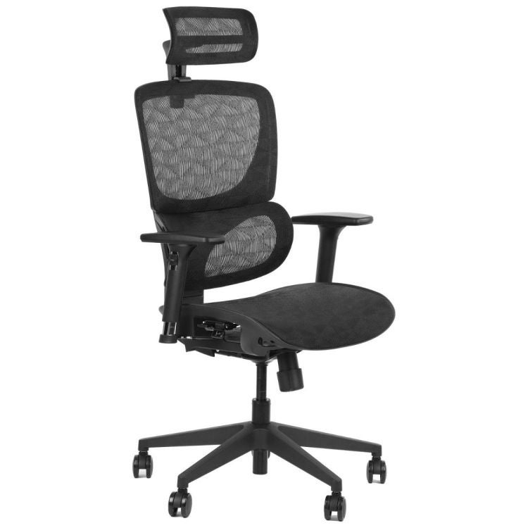 Fotel biurowy ERGONEW S1 czarny siatka