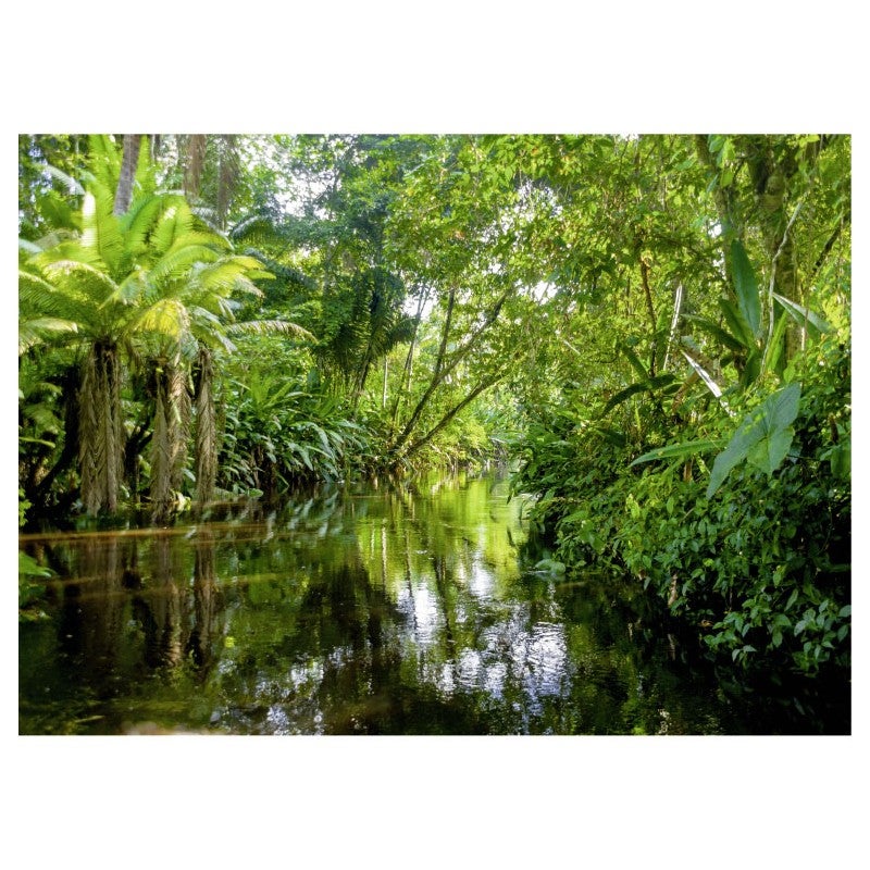 Tableau toile en kit FORET TROPICALE 180 x 130 cm - Toile textile sans PVC, Made in France par Scenolia - 2