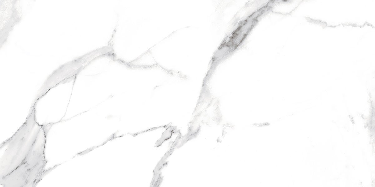 Carrelage rectifié pour sol ou mur intérieur 60 cm x 120 cm - Swiss White Grey - 4