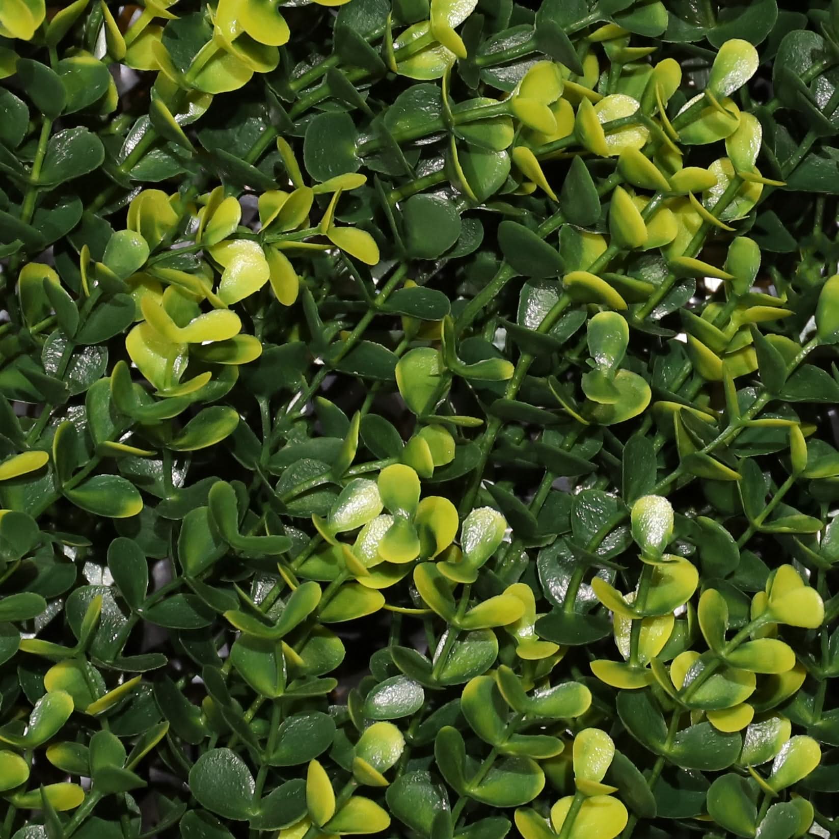 Jardín vertical artificial Soleado Verde y amarillo 100 x 100 cm | Naturing Monde - Para interior y exterior - Material HDPE - Garantía UV 5 años - 6