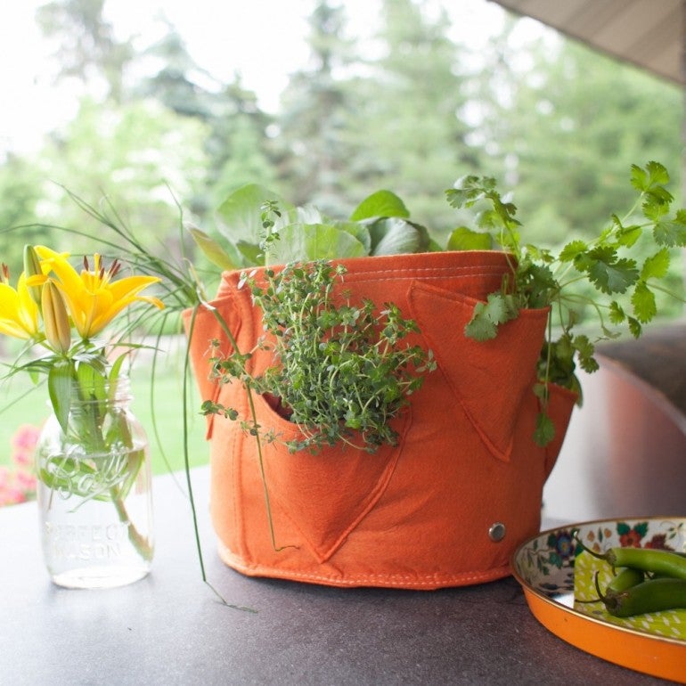 Vaso In Tessuto Per Erbe Aromatiche BloemBagz Da 6 Litri, Con 3 Tasche Living Green 83959108